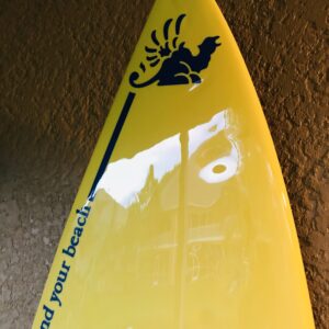Corona Vintage Blue Monkey Board