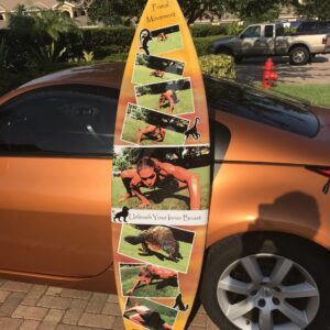 Primal Movement Full Size Monkey Board