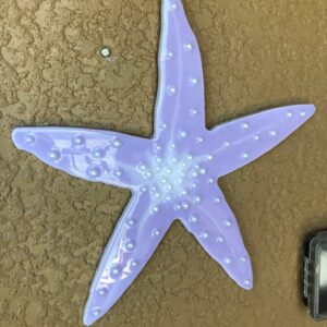 Mini Starfish